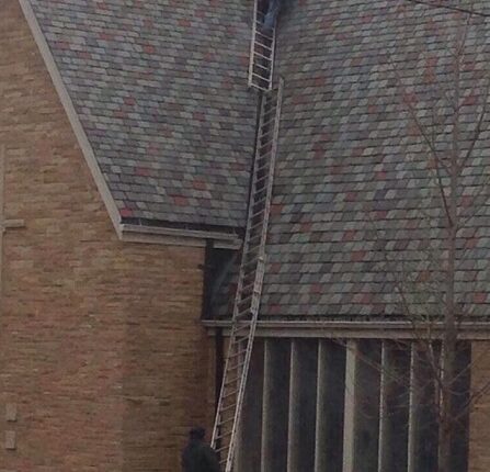 ladder-idiot