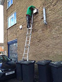 ladder idiot