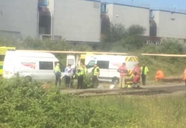 Rail workers killed by train
