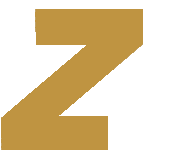 Zed Jackets